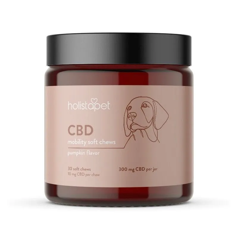 Mobility CBD Dog Chews - Pumpkin - Holistapet - Image 3