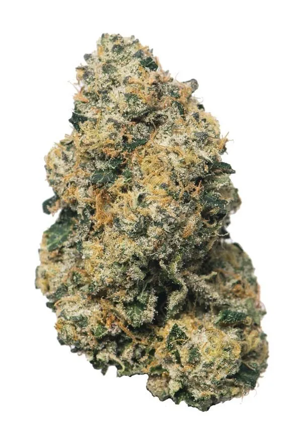 Destino Farms Exotic 7g Flower - Sherbanger hybrid