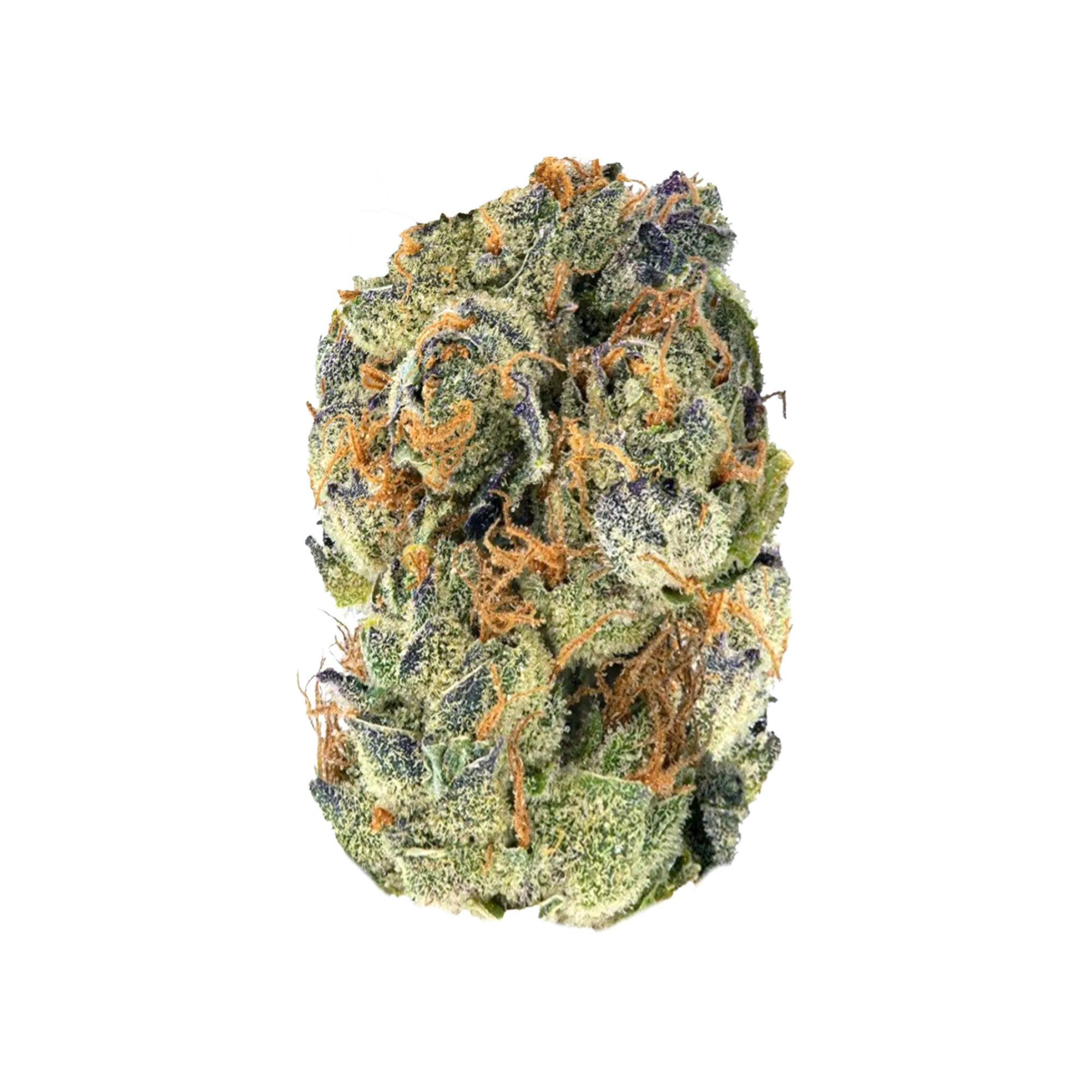 Destino Farms 7g Indoor Exotic Flower GMO Cookies Indica