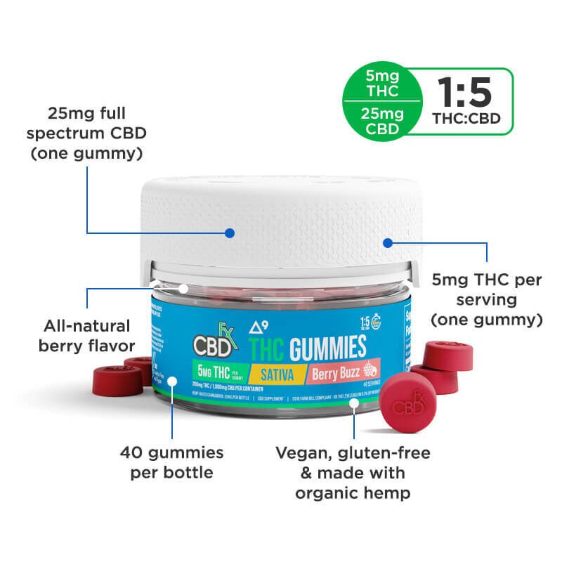THC Gummies + CBD - Berry Buzz Sativa - CBDfx - Image 4