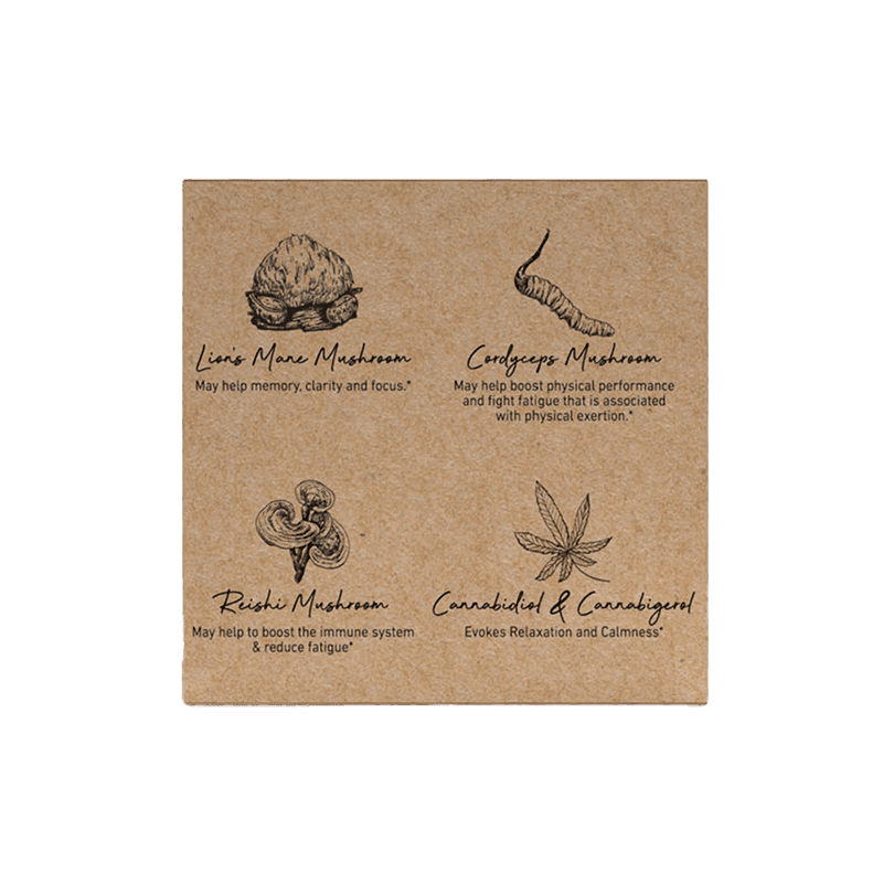 Focus CBD Gummies - Blackberry Citrus - Green Roads - Image 3