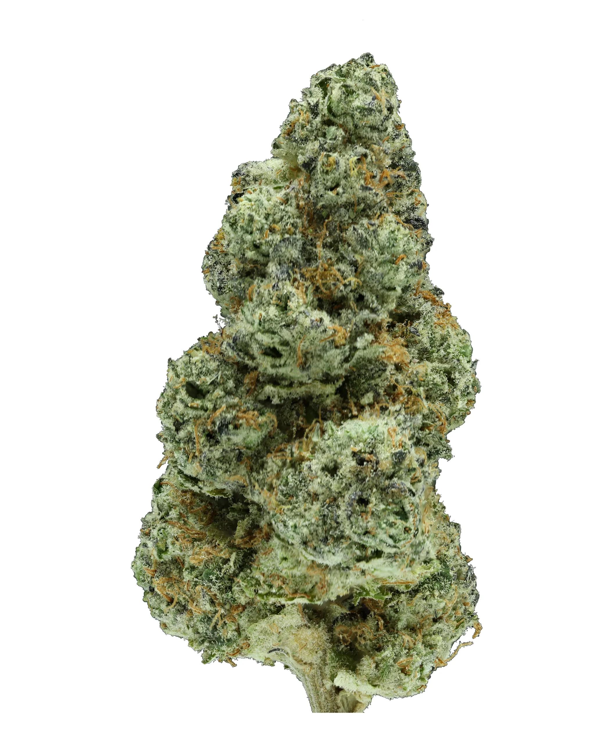 Destino Farms Sungrown Flower 3.5g - Mule Fuel indica