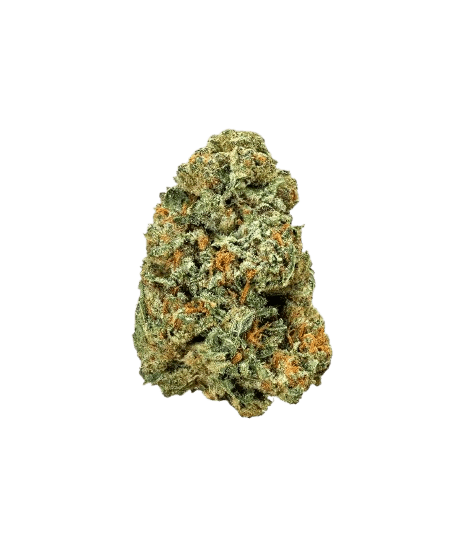 Imperial SFV OG – THCA Exotic Flower 3.5g Hybrid, Fakies Grade, 24.50% - Image 2