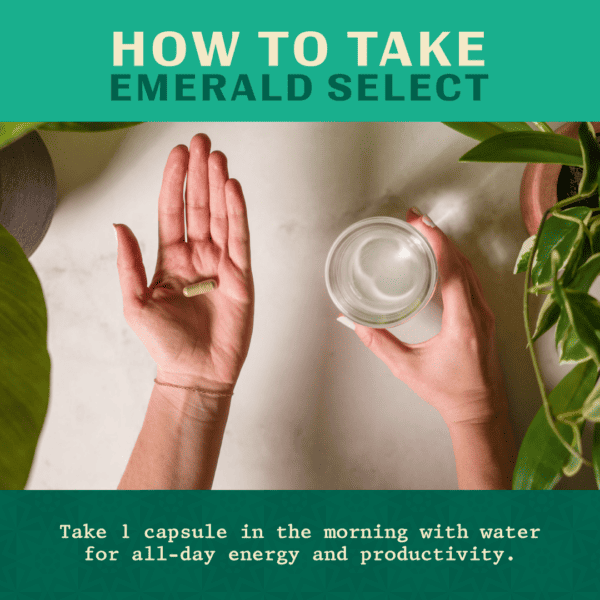 Super Speciosa Emerald Select Enhanced Kratom Capsules - Image 6