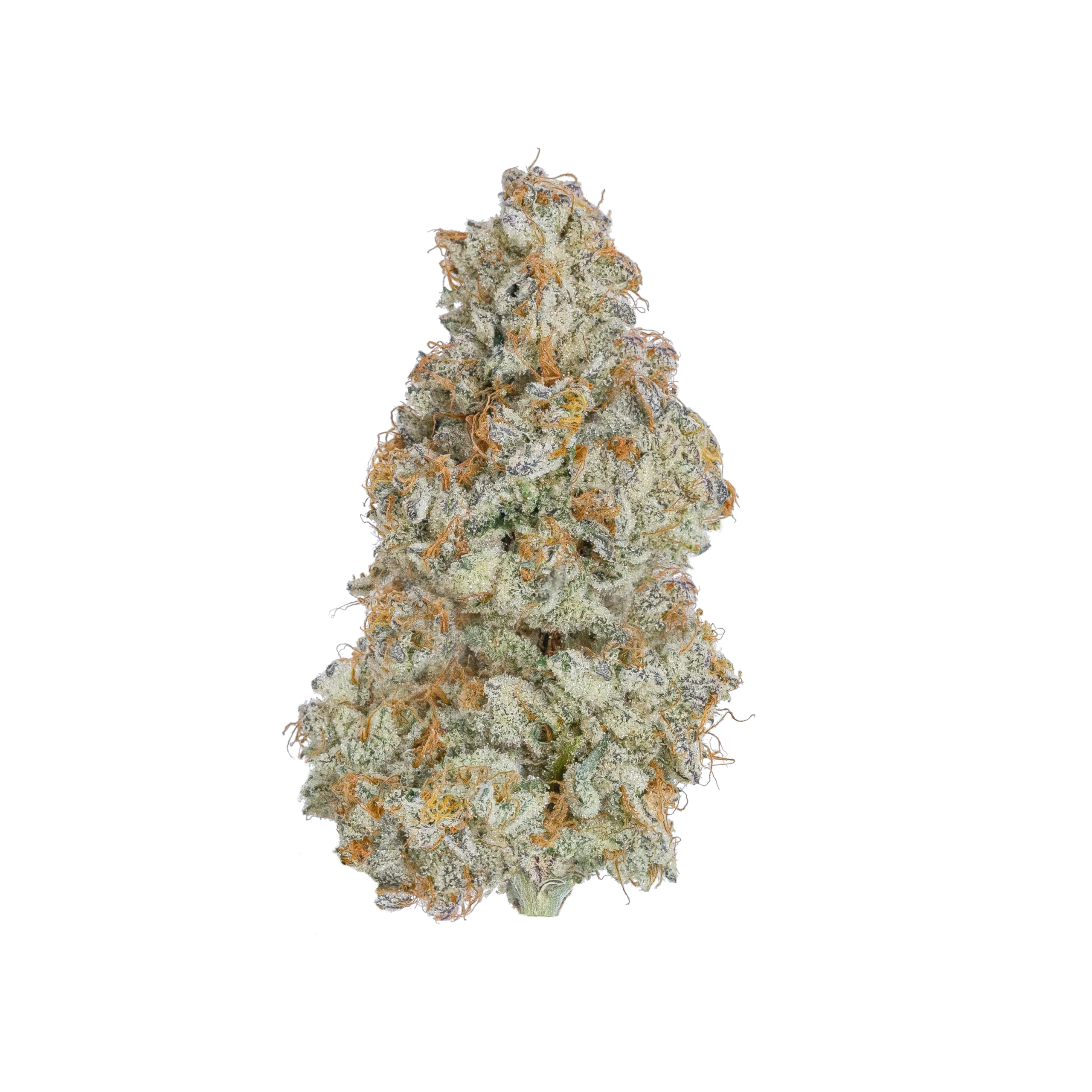 Destino Farms Sungrown Flower 3.5g - Cereal Milk hybrid