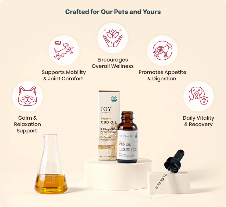 Joy Organics Organic CBD Tinctures for Dogs, Cats and Pets - Image 3