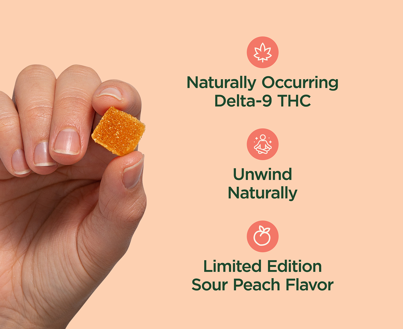 CBDistillery 5mg THC + 25mg CBD Gummies - Sour Peach
