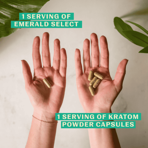 Super Speciosa Emerald Select Enhanced Kratom Capsules - Image 8