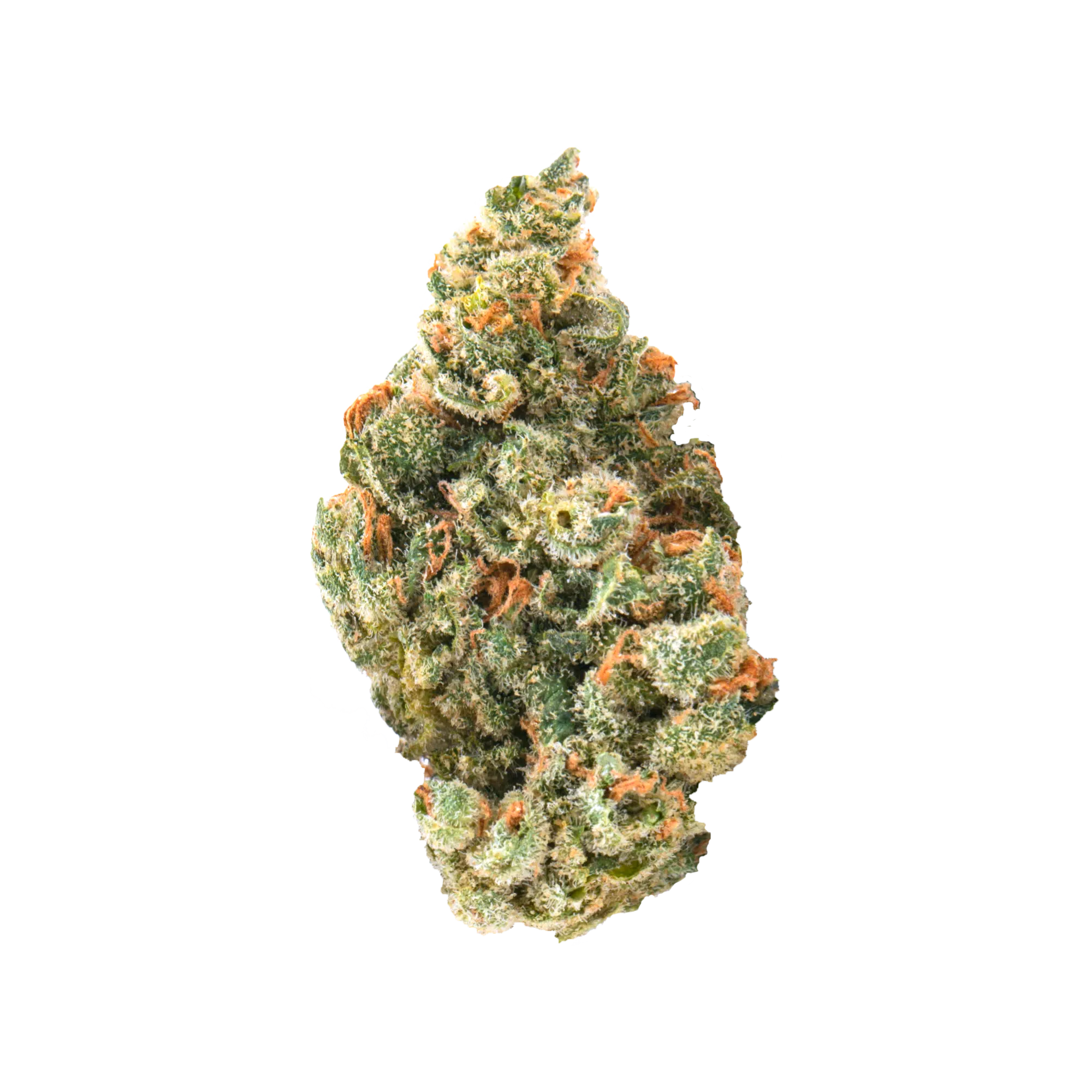 Destino Farms Sungrown Flower 7g - Lemon Cherry Gelato hybrid