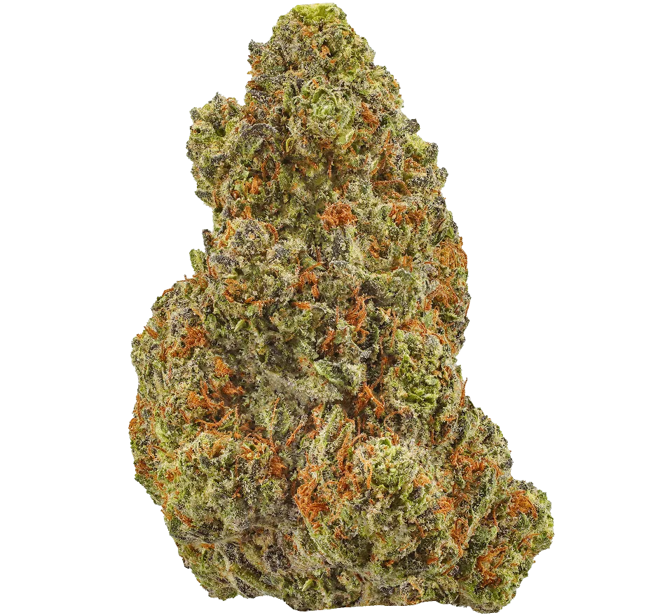 Destino Farms 7g Indoor Exotic Flower THCA – Hawaiian Snow Cone (Sativa)
