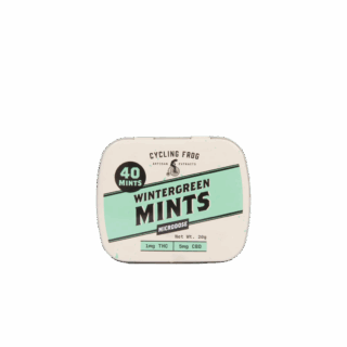 Cycling Frog Wintergreen