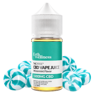 Erth Wellness CBD Isolate Vape Juice Wintermint 1000mg 30mL