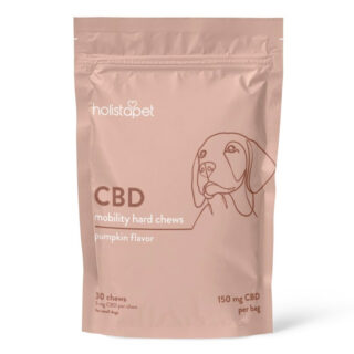 CBD Dog Chews for Mobility - Pumpkin Spice + Cinnamon - Holistapet