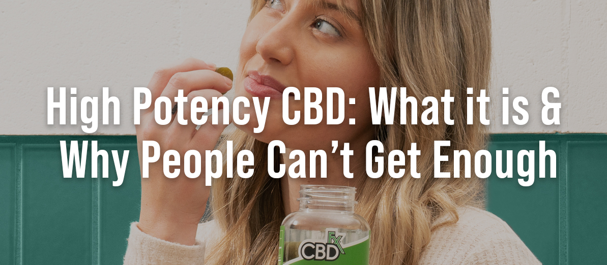 High potency CBD: What it is & Why People Can’t Get Enough
