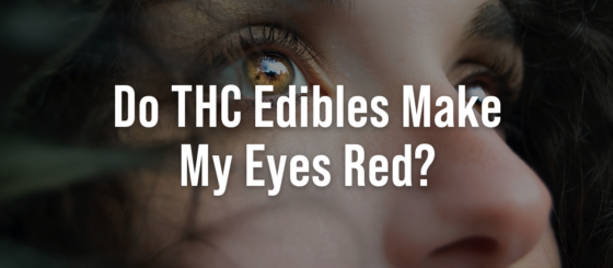 Do Edibles Make Your Eyes Red Do THC Edibles Make My Eyes Red? - CBD.co