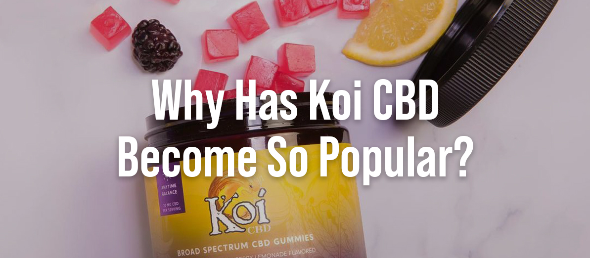 Why Has Koi CBD Become So Popular? - CBD.co