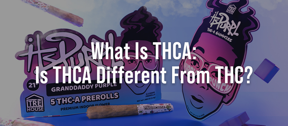 What Is THCA: Is THCA Different From THC?