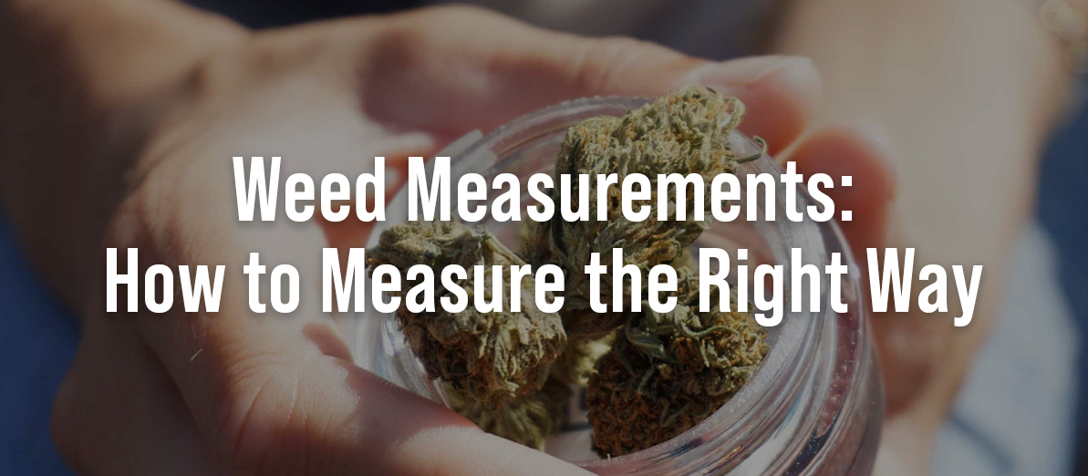 Weed Measurements: How to Measure the Right Way