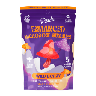 Purple Mushroom Enhanced Microdose Gummies - 5CT - Wildberry