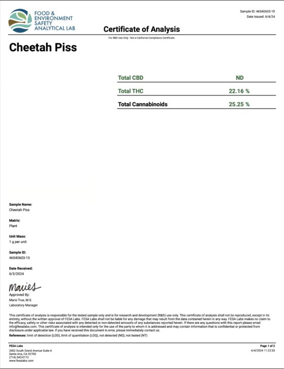 Cheetah Piss (Hybrid) Destino Farms Indoor THCA Flower 3.5G