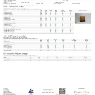 DayTripper Legal Psychedelics Mushroom Tabs 3ct