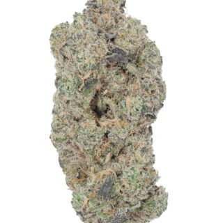 Gush Mintz (Indica) Destino Farms Indoor THCA Flower 3.5G