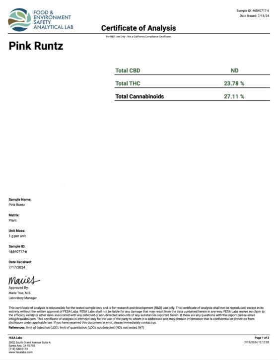 Pink Runtz (Indica) Destino Farms Indoor THCA Flower 3.5G