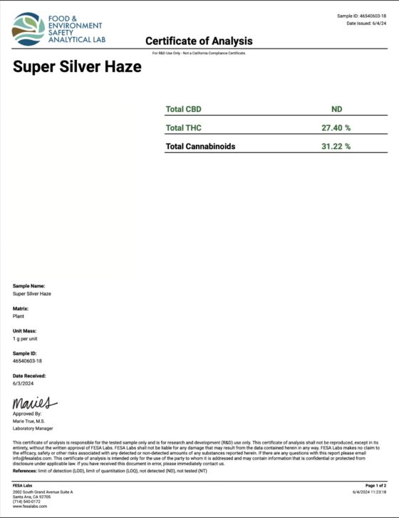 Super Silver Haze (Sativa) Destino Farms Indoor THCA Flower 3.5G