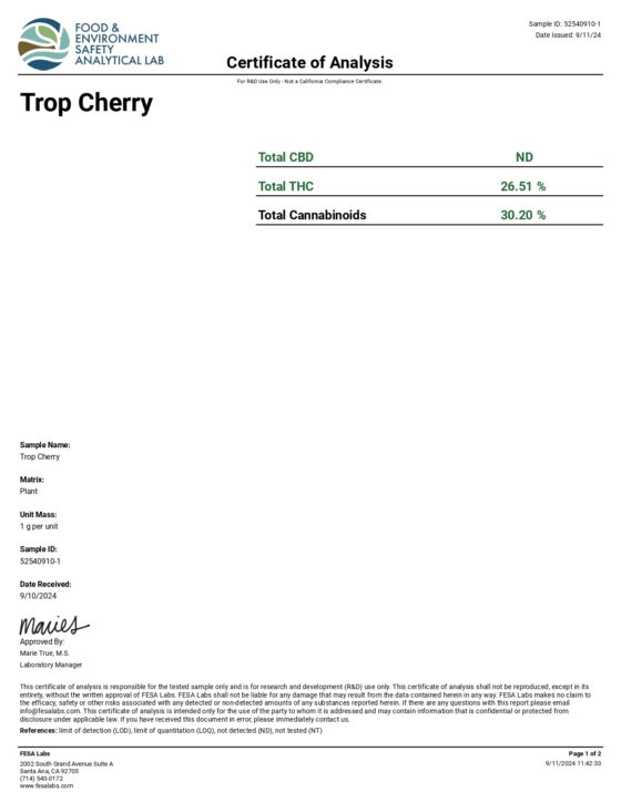 Trop Cherry (Sativa) Destino Farms Indoor THCA Flower 3.5G