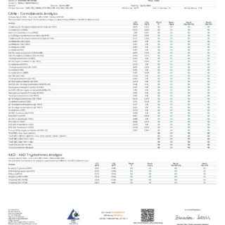 Wunder – High Potency Entheogenic + 150mg Kava | Grape