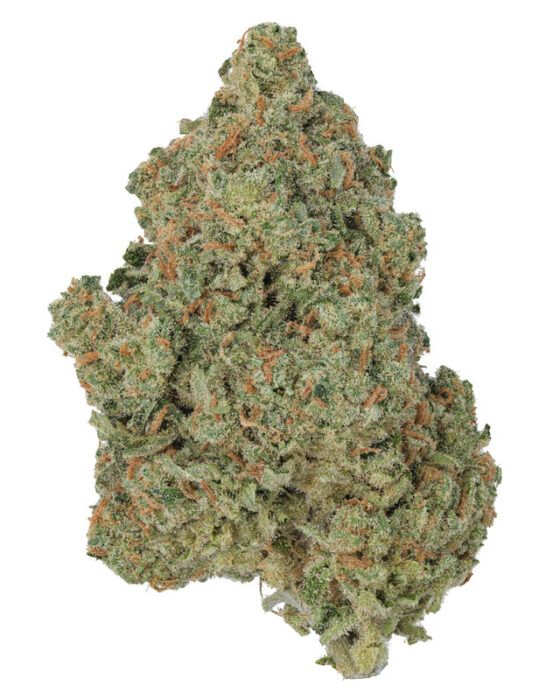 Destino Farms 3.5g Indoor Exotic Flower jack herer