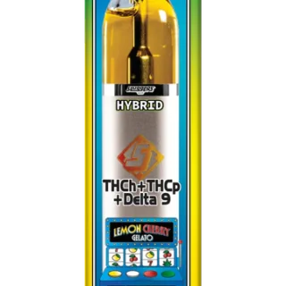 Sluggers Hit Gram Slam Disposable 2G lemon cherry gelito