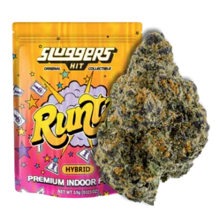 Sluggers Hit Premium Indoor THC-A Flower 3.5g - runtz hybrid