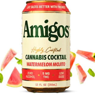 Amigos Highly Crafted Cannabis Cocktail Watermelon Mojito 5mg