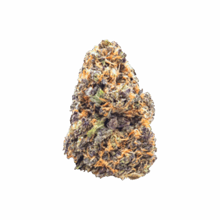 Destino Farms 7g Indoor Exotic Flower - Purple Punch (Hybrid)