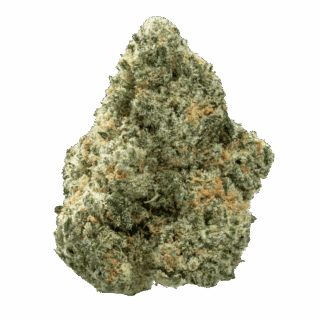 Destino Farms 7g Indoor Exotic Flower - Jack Herer (Sativa)