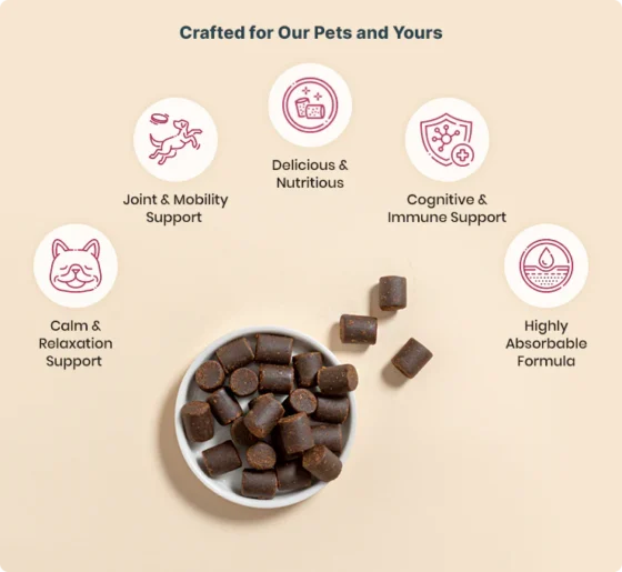 Joy Organics CBD Dog Treats Chews - Beef - Image 2