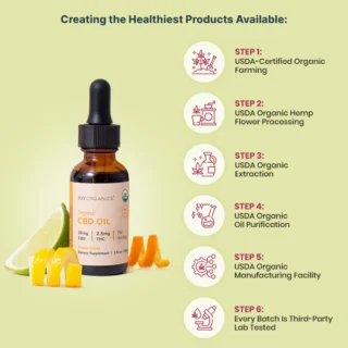 Joy Organics Full Spectrum Delta 9 THC Tincture 30mg - Citrus