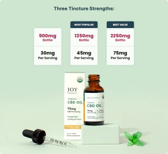 Joy Organics Organic Broad Spectrum CBD Tincture - Tranquil Mint