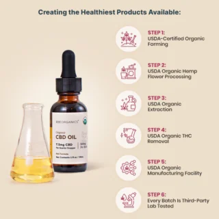 Joy Organics Organic CBD Tinctures for Dogs, Cats and Pets