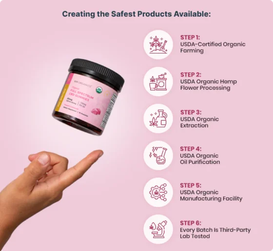 Joy Organics Organic Full Spectrum CBD Gummies - Raspberry Lemonade - Image 2