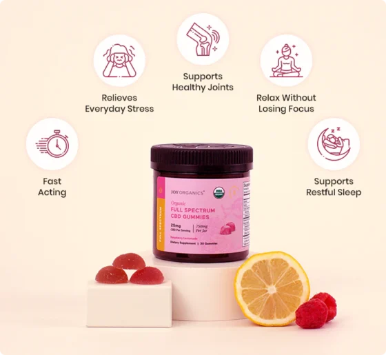Joy Organics Organic Full Spectrum CBD Gummies - Raspberry Lemonade