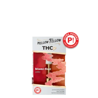Miami Haze (Sativa)