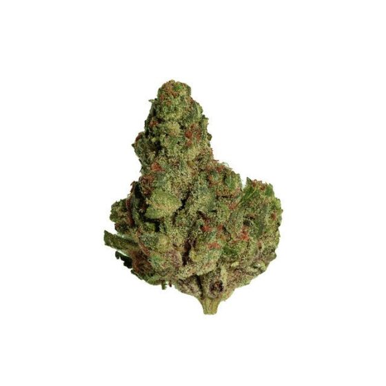 koi-thca-flower-35g-orange-gelato-sativa