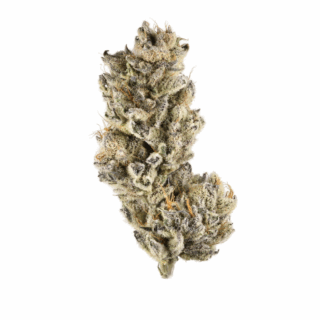 Destino Farms 3.5g Indoor Exotic Flower – Blue Slushie (Indica)
