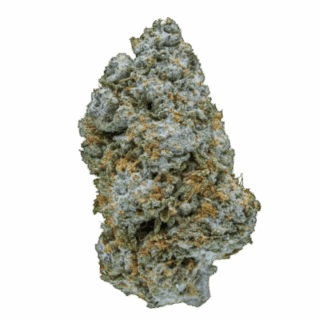 Destino Farms – Lemon Cherry Gelato (Sativa) – THC-A Diamond Dusted Snow Caps (3.5g)