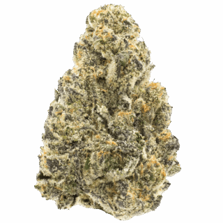 Destino Farms 3.5g Indoor Exotic Flower THCA Garlic Glaze Indica