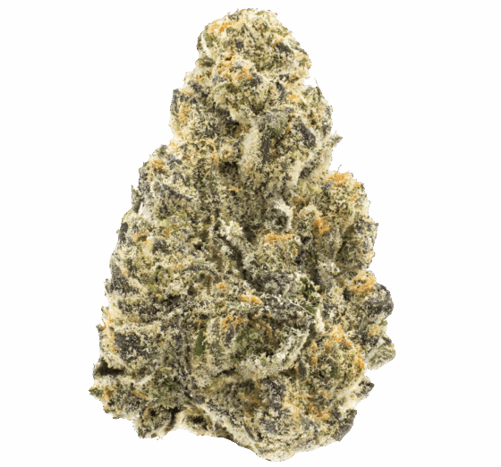 Destino Farms 3.5g Indoor Exotic Flower THCA Garlic Glaze Indica