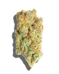 Destino Farms Lemon Pie Flower