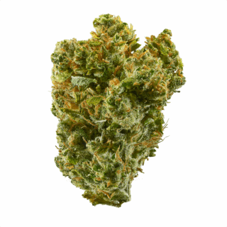 Destino Farms 7g Indoor Exotic Flower - Super Silver Haze (Sativa)